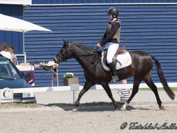 img-99421-603